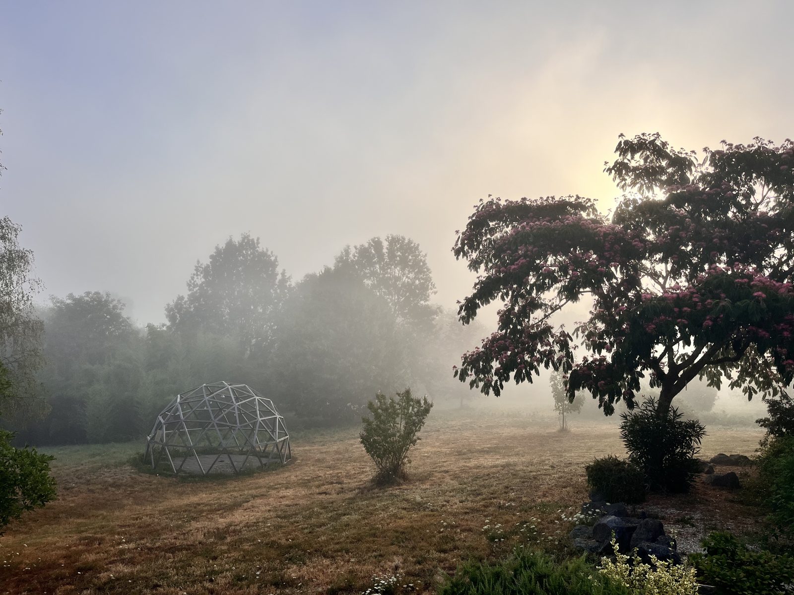 L'ossature du dôme prend forme sur site, au petit matin dans la brume